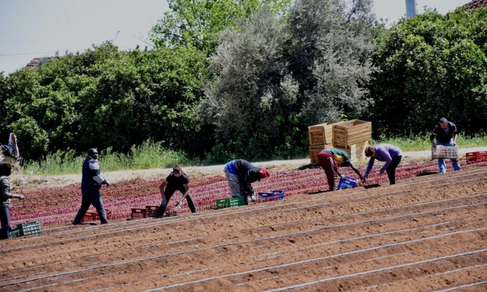 Νομοθετικές παρεμβάσεις για την ευκολότερη μετάκληση εργαζομένων τρίτων χωρών από το υπουργείο Μετανάστευσης